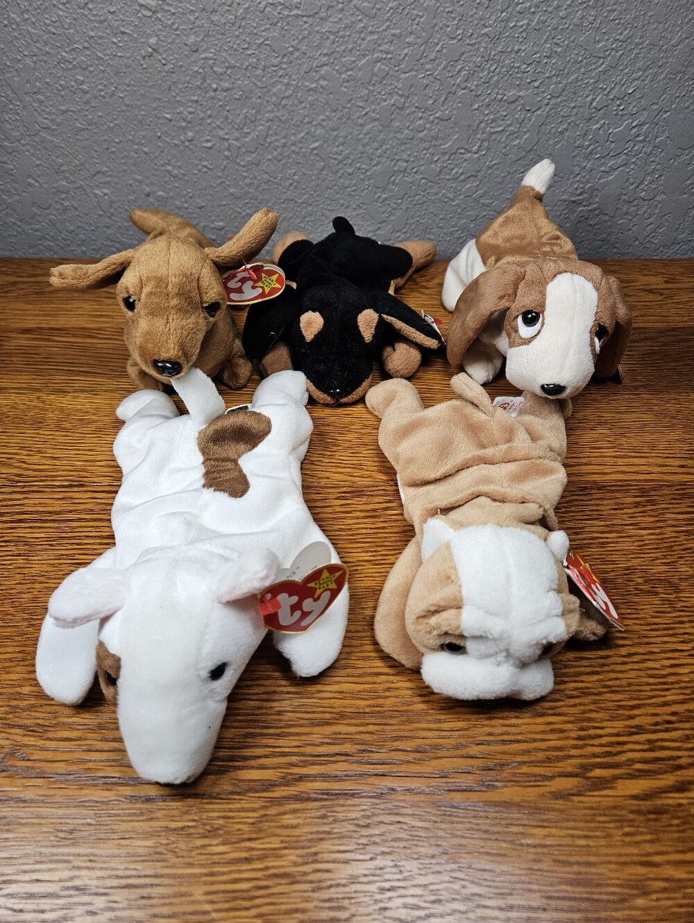 Ty Beanie Dog Bundle Of 5